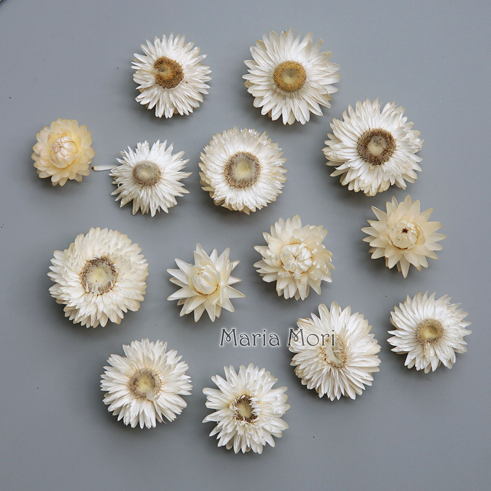 Candle Making Supplies Online - Natürlicher getrockneter bunter Chrysanthemenkranz, handgefertigter Haarschmuck,